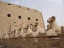 Ram's head entry to Karnak.jpg